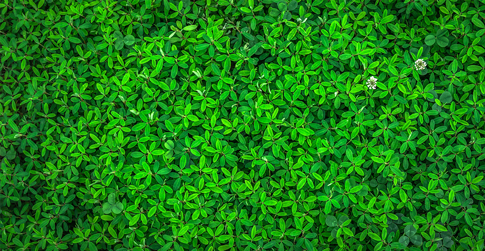 Latest Products Image